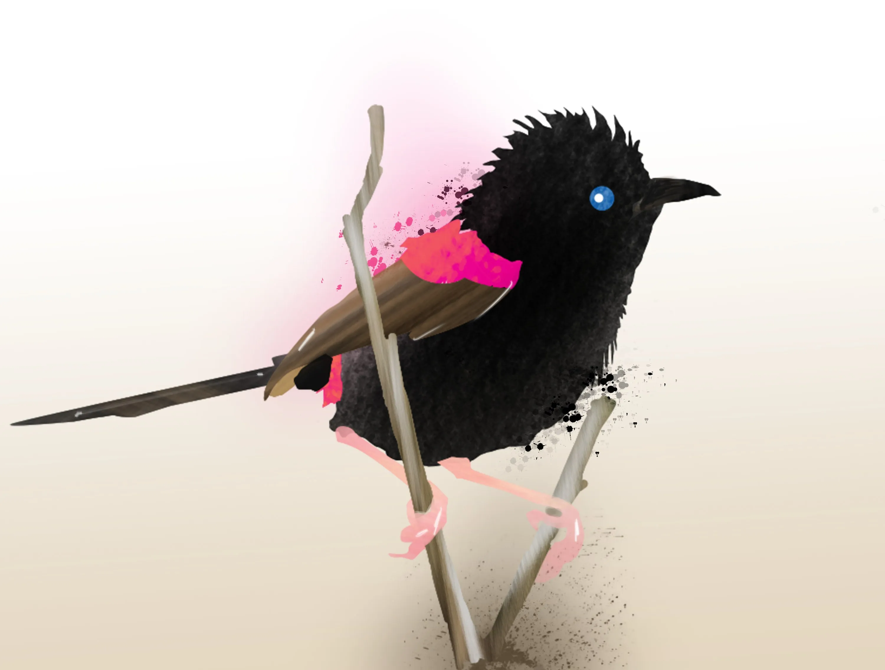 Illustration of a red-backed fairy-wren perched on a twig