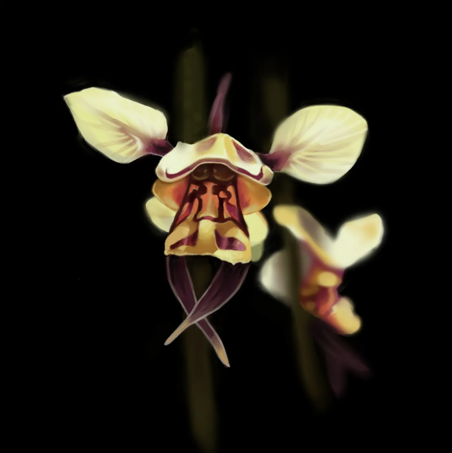 Digital painting of pale yellow orchids on black